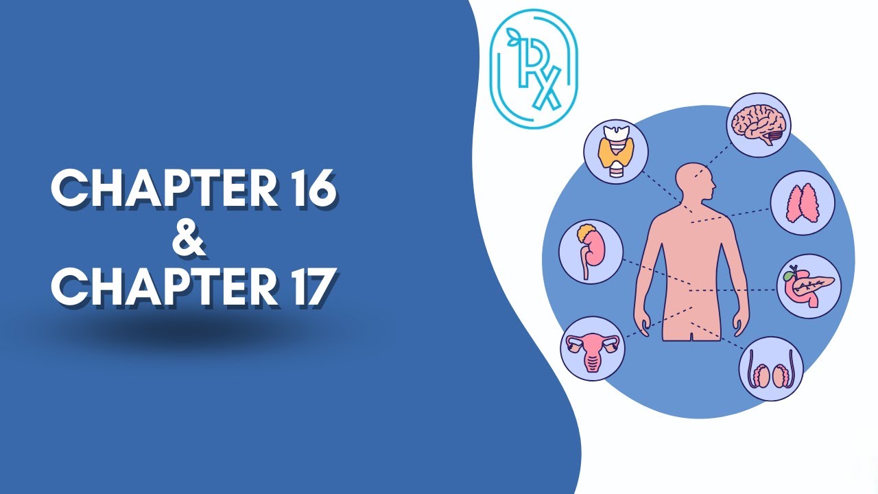 مراجعة الفسلجة المركزة - الفصل 16 و 17