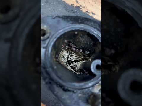 THIS IS WHY YOU SPLIT BRAVO OUTDRIVES !!!! BRAVOITIS !!!!!!! FCK!!!! #mercruiser #bravo3 #boatlife