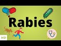 Rabies, Causes, SIgn and Symptoms, Diagnosis and Treatment.