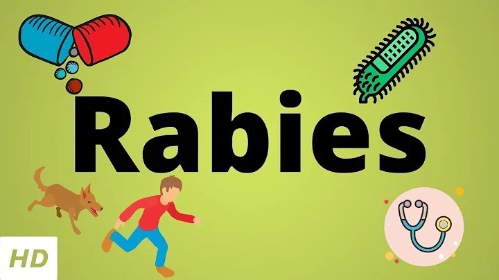 Rabies, Causes, SIgn and Symptoms, Diagnosis and Treatment. - DayDayNews