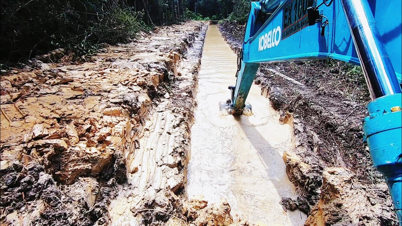 bikin parit sarang ikan betok dan gabus