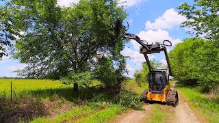 Shredding Trees with a Swing Arm Boom Mower