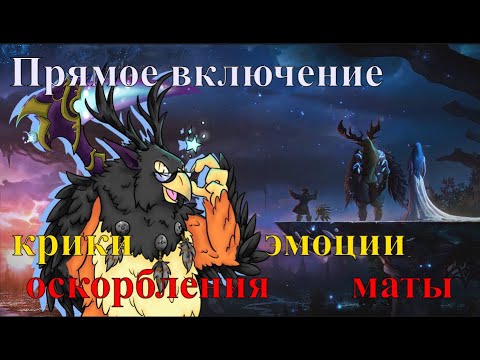 Видео: Гирим голубя в 4 сезоне World of Warcraft Dragonflight