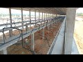 Eggs Farming Daodwikwo Jwg Bobeniprai Mwnw