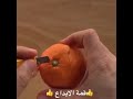 الابداع في رسم عل كلمنتينا لا يفوتكم