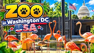 Washington DC Zoo Adventure 🇺🇸 | Amazing Animals & Flamingos 🦩