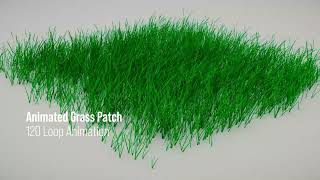 Animated Patch of Grass 120 Frame Loop Animation