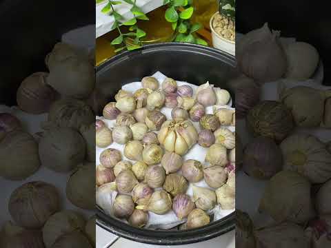 Cara membuat black garlic atau bawang hitam sendiri di rumah