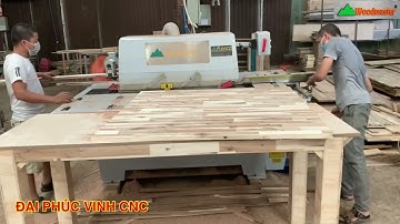 MÁY CƯA RONG RIPSAW LƯỠI DƯỚI WOODMASTER Chất Lượng tuyệt hảo👍👍👍