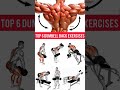 Best Back workout for male female both 💯💪🏻🔥#fitness #gymexercises #shorts