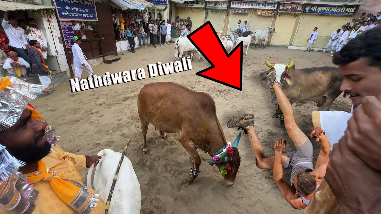 Nathdwara - Shreenath Ji Special Diwali - 1000 Years Old Tradition