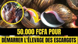 50.000 FCFA POUR DÉMARRER L'ÉLEVAGE DES ESCARGOTS en Afrique