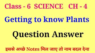 getting to know plants class 6 questions and answers | class 6 science chapter 4 question answer