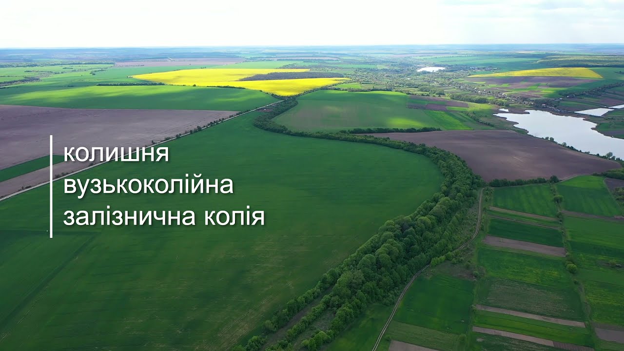 Капустяни з висоти пташиного польоту.