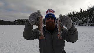 Ice Fishing For Brook Trout in Newfoundland | Campfire Cooking!
