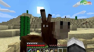 CivCraft Teams Coustom Server Intro