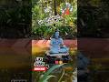 siv mandir mandir vlog #explorepage #contentcreator #creator #views #siva #god #lordshiva #hindu