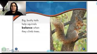 Squirrels by Derek Zorbel