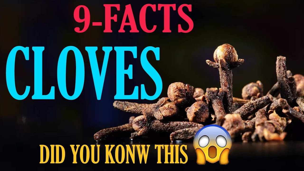 ALL YOU NEED TO KNOW ABOUT CLOVES 09 BENIFITS OF CLOVES DID YOU