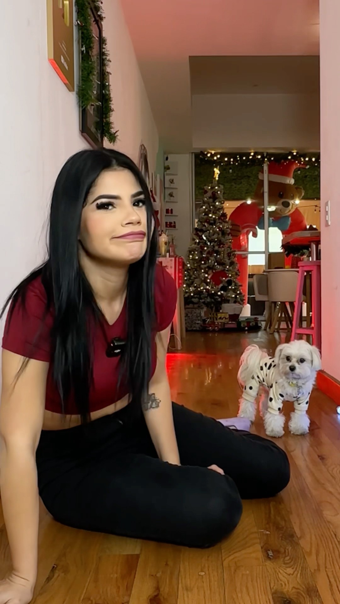 MI PERRITO NO SABE ATRAPAR LA SALCHICHA ?