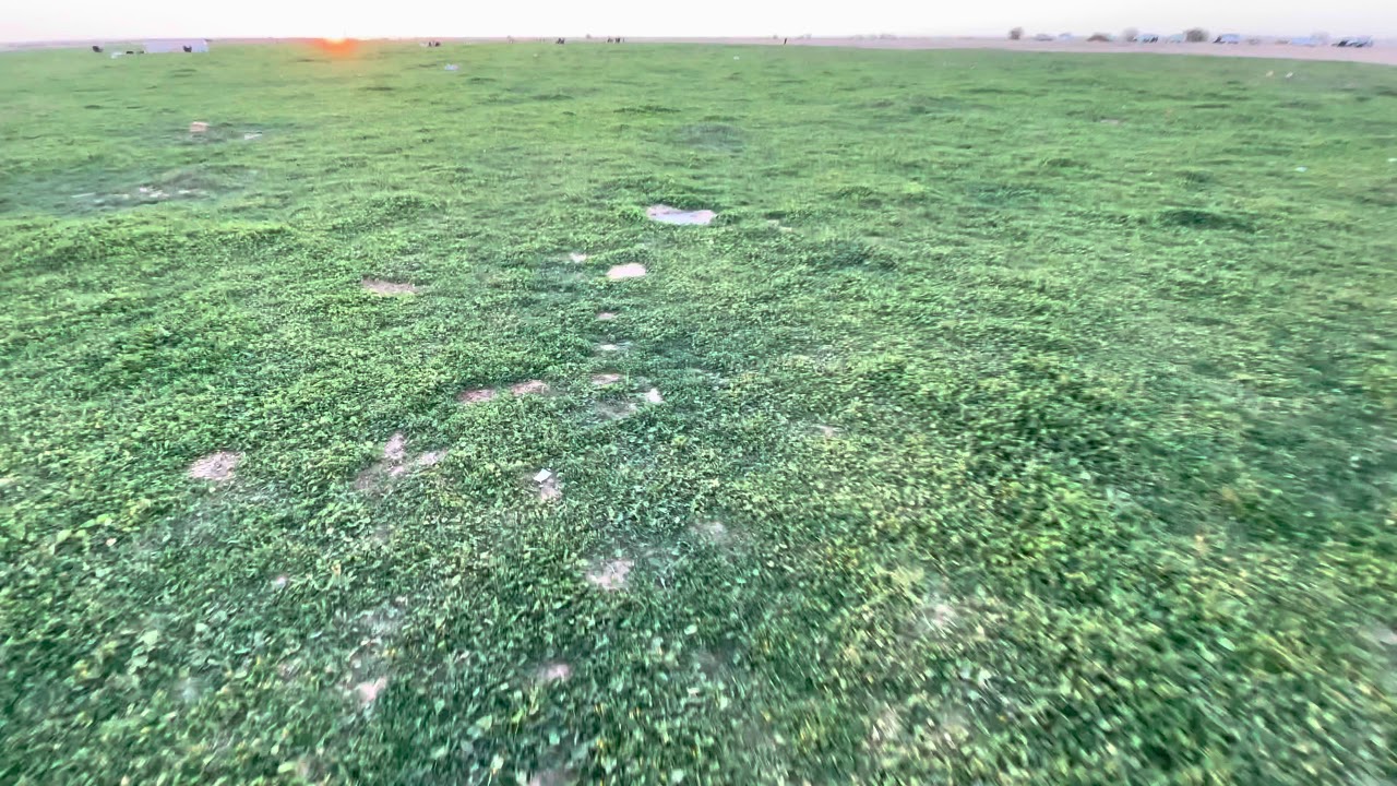 ‏اليوم إلى روضة الخفس الشمالية