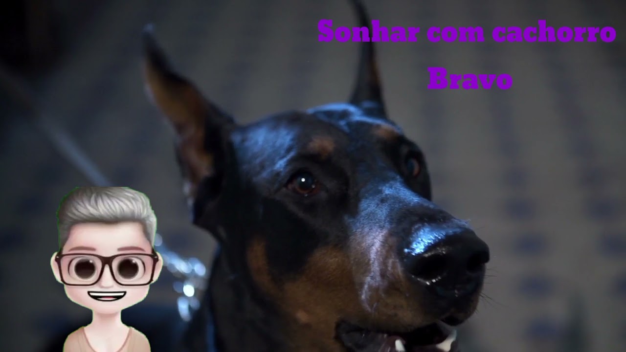 SONHAR COM CACHORRO, SONHAR COM CÃO QUAL OS SIGNIFICADO ESPIRITUAL BASEADO NA BÍBLIA HD YouTube SONHAR COM CACHORRO, SONHAR COM CÃO QUAL OS SIGNIFICADO ESPIRITUAL BASEADO NA BÍBLIA HD YouTube