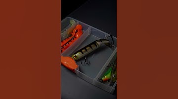 Pike Fishing Tackle Box 🎣 #naturehooked