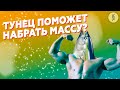 ТУНЕЦ — САМЫЙ ДЕШЁВЫЙ ИСТОЧНИК БЕЛКА?