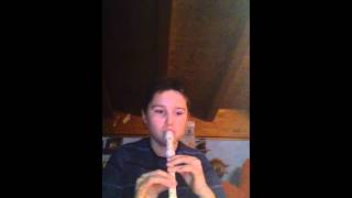 Payphone flauto piú violin cover by Daniel Pirollo