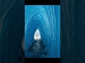 Secrets of the Glowing Deep Sea #ocean #marinemystery #navy #calmwhale #whale #finwhale #wildlife