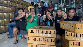 Download Lagu UPDATE HARGA BURUNG CENDET TROTOL DAN DEWASA - DI CABANG BARU DAPIT LOVEBIRD SIDOARJO MP3 Download Lagu UPDATE HARGA BURUNG CENDET TROTOL DAN DEWASA - DI CABANG BARU DAPIT LOVEBIRD SIDOARJO MP3