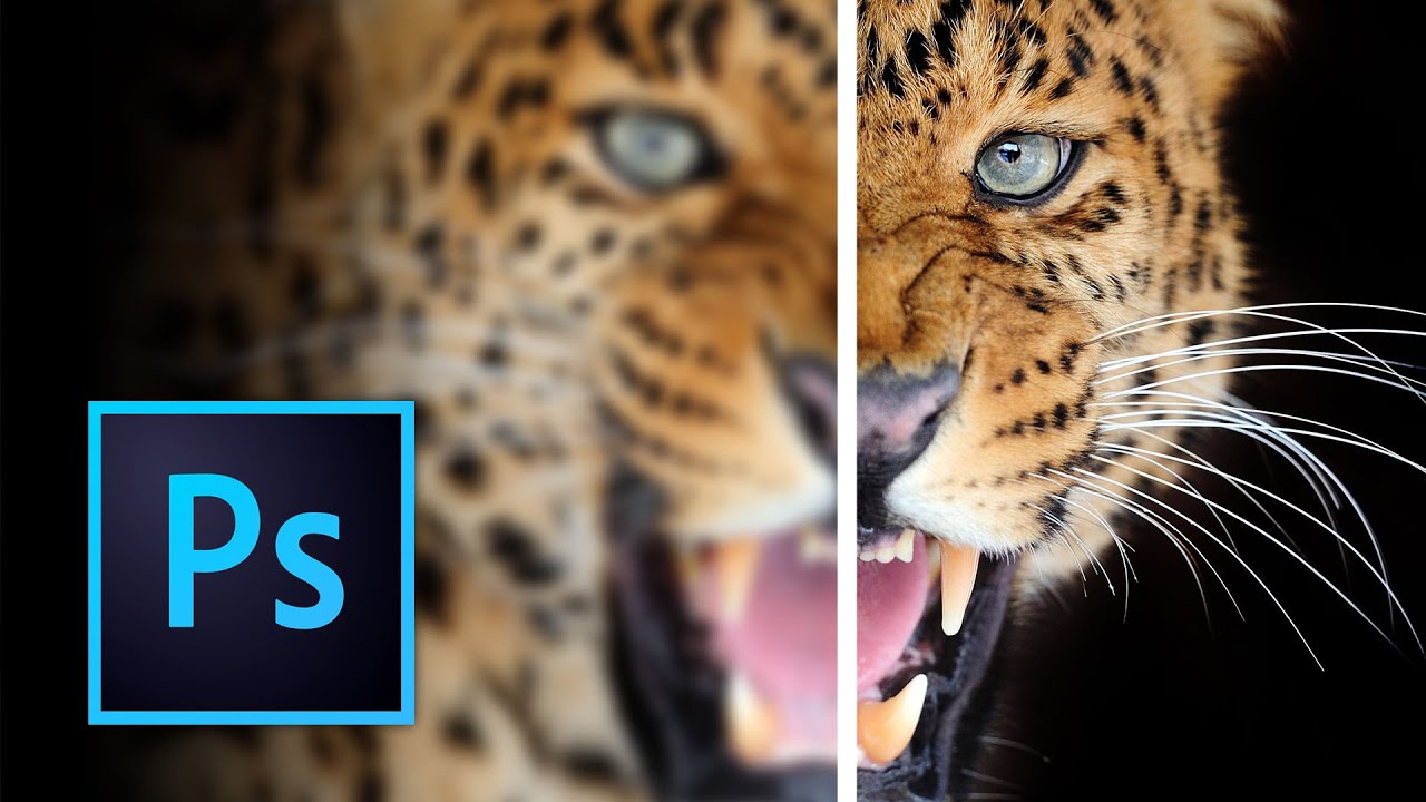 How To Sharpen An Image In Photoshop Easy Step By Step Guide