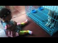 Baby rana shocked by cat  funny baby moment