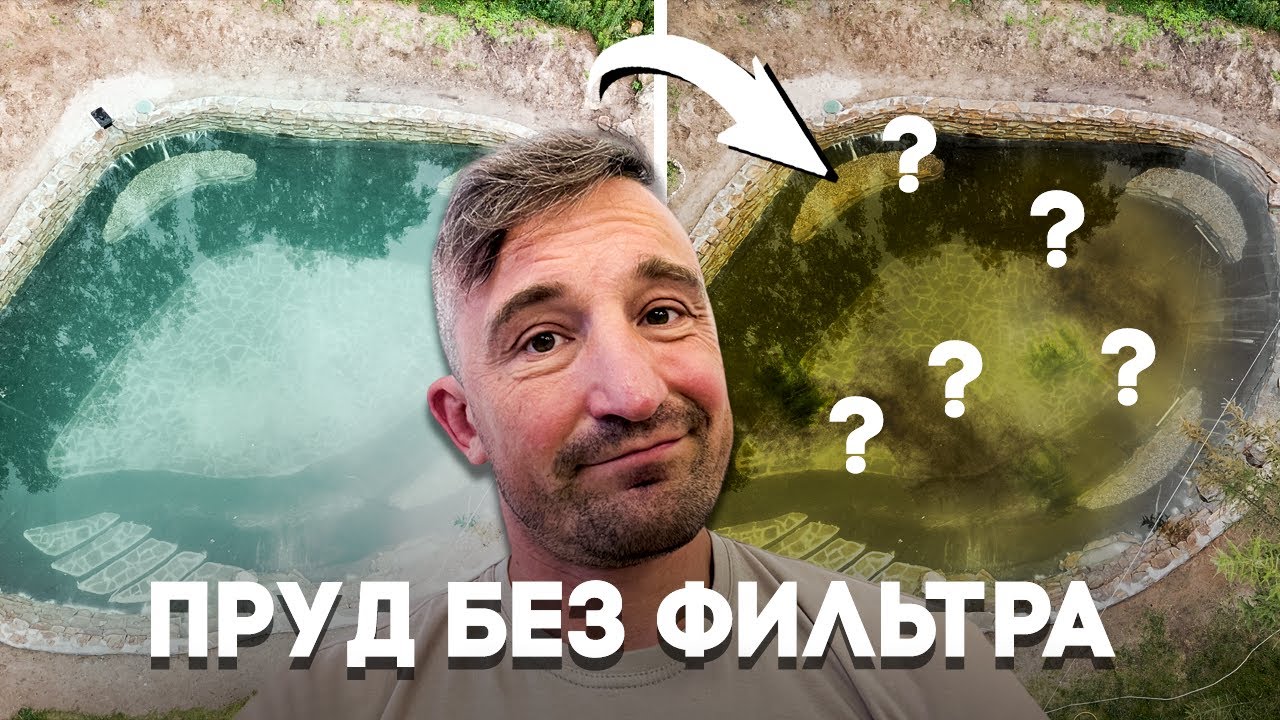 Пруд без фильтрации 4 года – что с ним стало? | История пруда Багамы ...