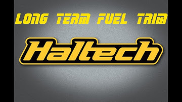 How to: Long Term Fuel Trim in Haltech NSP (in 1 Minute)