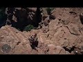 Crimson Desert