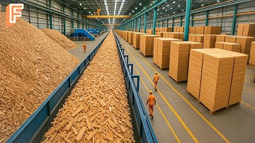 How Millions Of Particle Boards Are Made From Recycled Wood Scraps In Mass Production Line