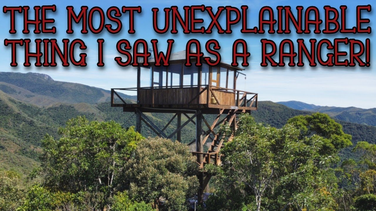 The Forest Knows You're There: True Stories From a Ranger's Isolated ...