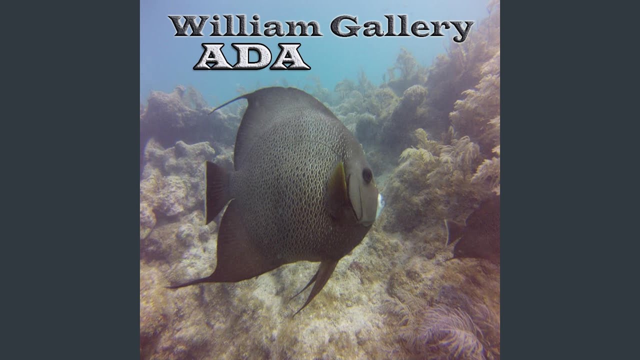 Guarda Ada su YouTube Guarda Ada su YouTube