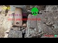 2025년 토종벌 분봉벌받기 설통 철수작업 #bee