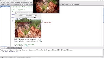 CISC 190 M5 Explain: Conditional Execution