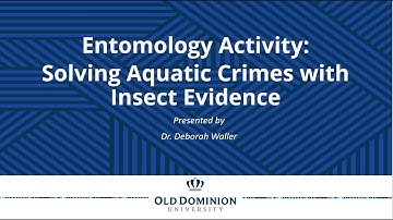 Entomology Activity: Solving Aquatic Crimes with Insect Evidence