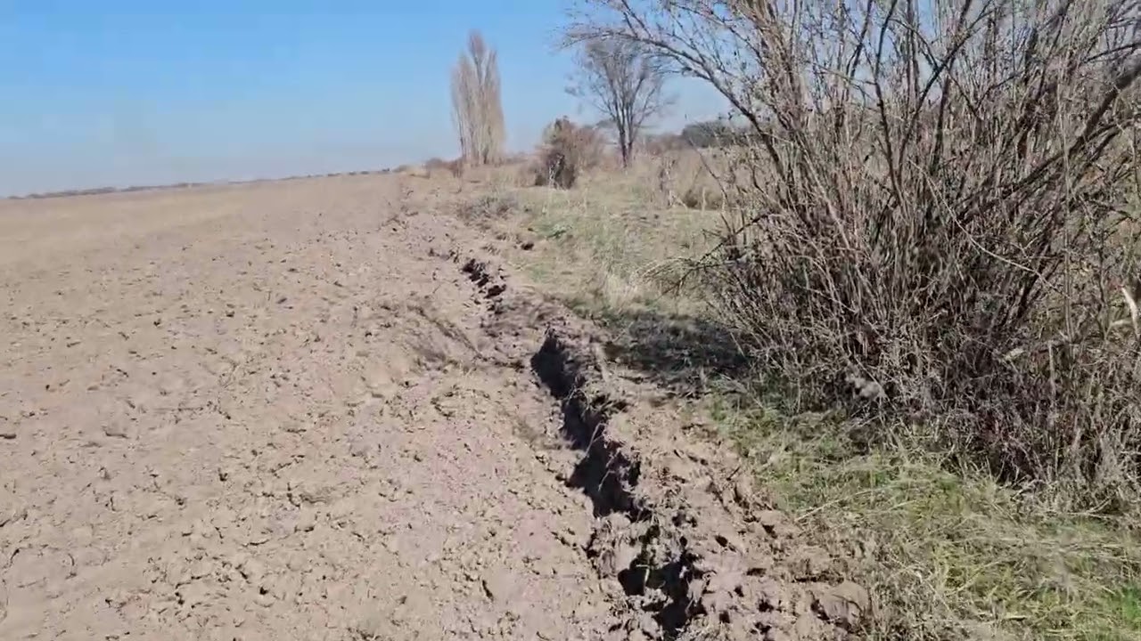 Як виміряти площу поля швидко та зручно? Польовий навігатор 19.03.2025