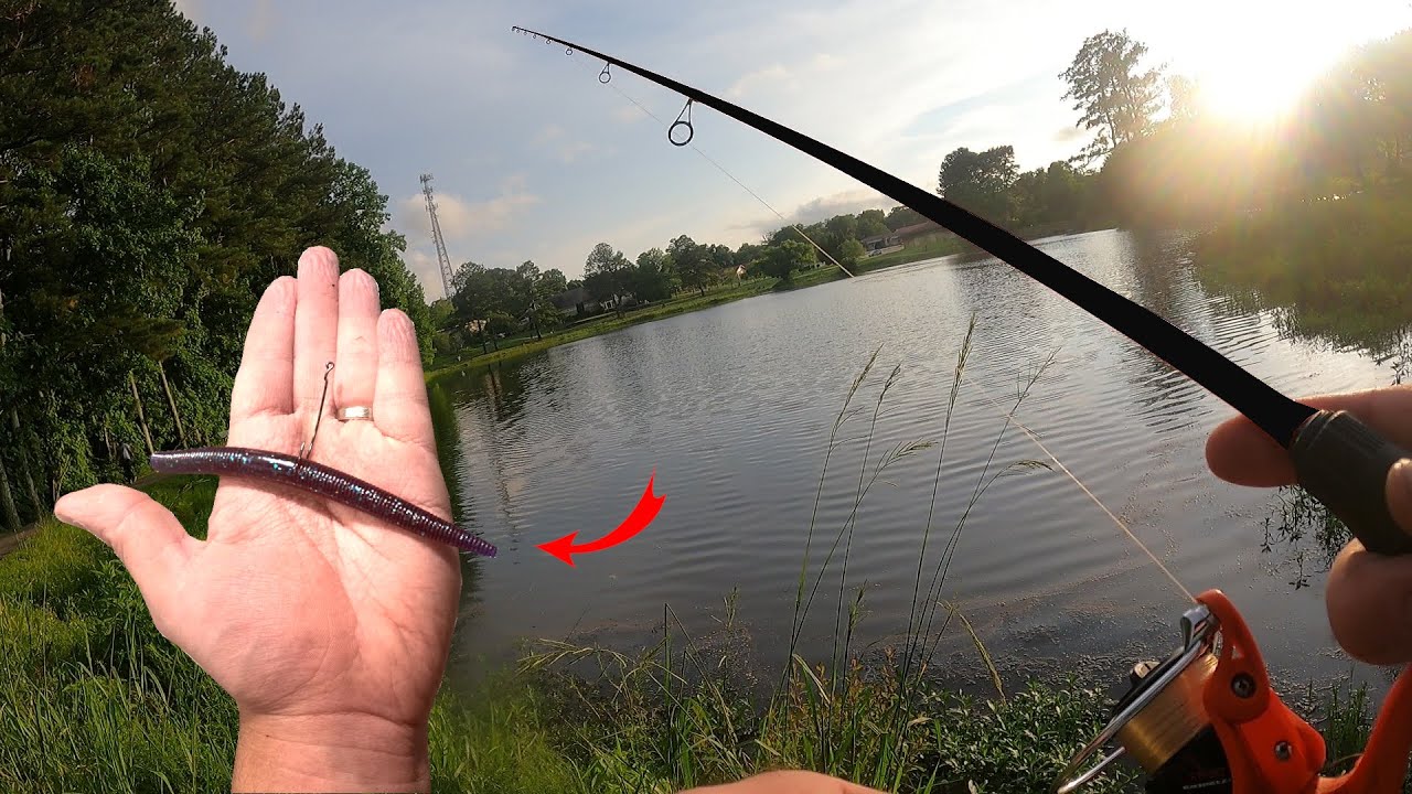 BASS Fishing Made Easy Using This LURE!! (Wacky Worm Fishing) 