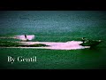 Water skiing by gentil