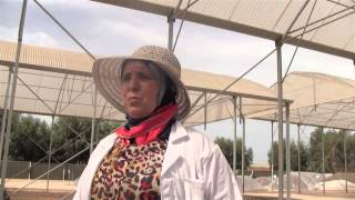 The Evolution Of Morrocan Agriculture [2013]