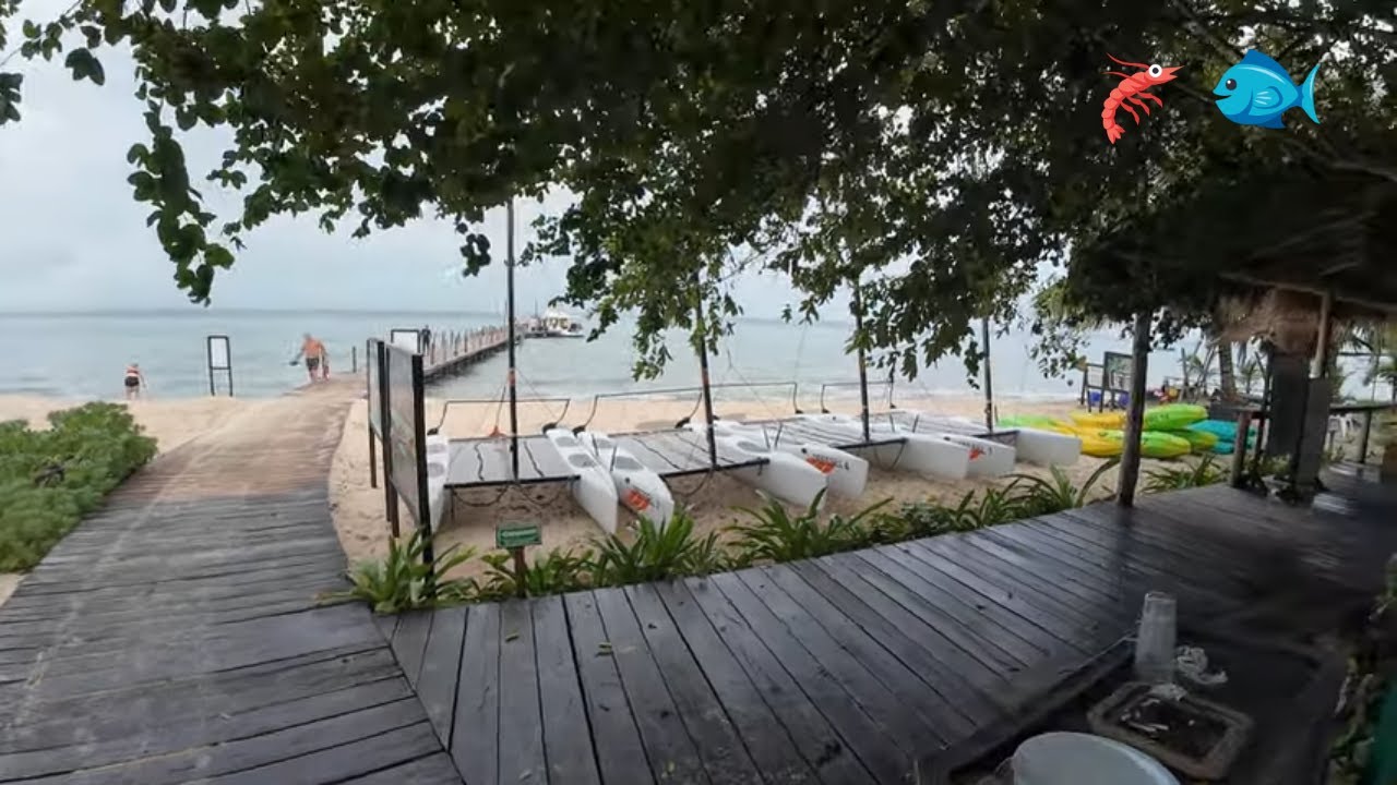 Dressel Dive Shop Video YouTube