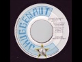 米12” Michael Palmer / Danny T Juggling / Version J001 JHUGGENAUT /00250 Michael Palmer / Danny T – Juggling / Juggling (Version) – Vinyl