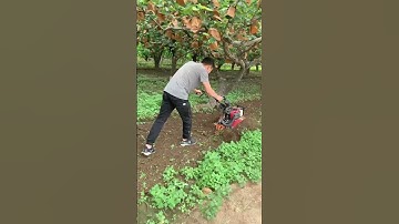 Mini Tiller Machine in Action | Powerful Farming Tool for Easy Soil Preparation part 1026