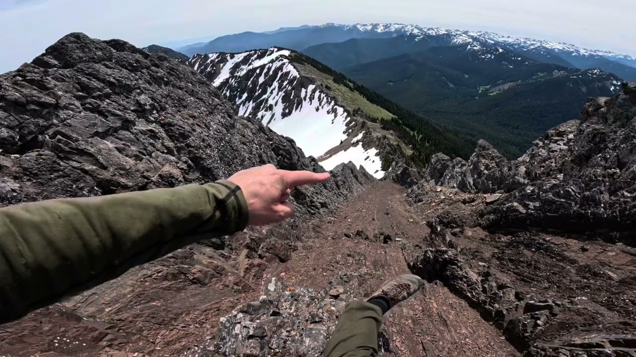Hurricane Ridge down to Lake Angeles, Olympic National Park 6/13/24